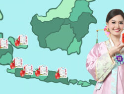 Peta Penyebaran Buah Premium di Indonesia: Dari Jakarta hingga Bali dalam Waktu Singkat