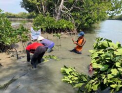 80 Tahun Merdeka, CSR Hijau Jadi Wujud Patriotisme di Era Krisis Iklim