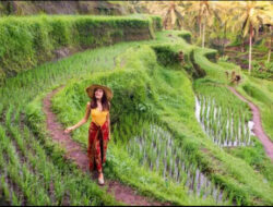 Bali Sun Tours Luncurkan Portofolio Pengalaman 2025 dan Pemesanan Langsung