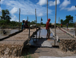 DPR Dukung MIND ID Atasi Tambang Ilegal dan Kembangkan Hilirisasi Timah