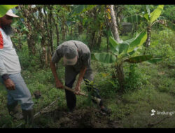 Hari Tani Nasional 2025, LindungiHutan Perkuat Peran Petani dalam Penghijauan dan Ketahanan Iklim