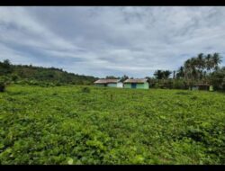 Kementerian Pekerjaan Umum : Sekolah Rakyat Tahap II Segera Dibangun Di Jailolo Selatan, Halmahera Barat
