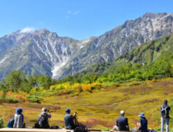 Minggu Warna Musim Gugur Dimulai pada Sabtu, 27 September! Nikmati Musim Gugur di Desa Otari, Prefektur Nagano | Perubahan Warna Daun mengikuti Ketinggian