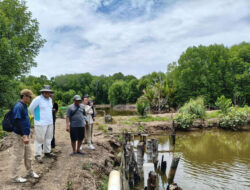 Kolaborasi FisTx, Carbon Ethics, dan SAMPAN Kalimantan Hadirkan Silvofishery Modern di Desa Dabong