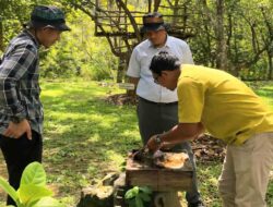 UMK Binaan MIND ID Berdaya Saing Tinggi, Omzet Naik hingga Tembus Pasar Global