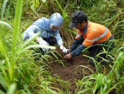 Jaga Kelestarian Alam Indonesia, WSBP Kembali Tanam 536 Pohon Trembesi