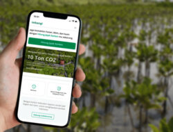 LindungiHutan Rilis Tampilan Baru Web Mobile: Menjawab Tren Digitalisasi Keberlanjutan