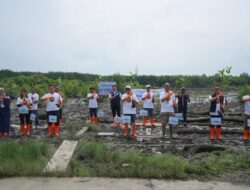 Pelindo Multi Terminal Group Tanam 11.000 Mangrove Bawa Manfaat Bagi Masyarakat