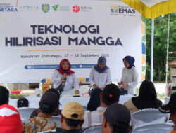 Desa Ekonomi Maju dan Sejahtera Dorong Desa Mandiri Indramayu Sandiaga Uno Gelar Pelatihan Hilirisasi Mangga