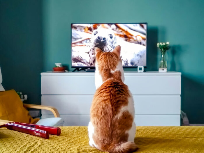 Unicharm Pet Indonesia