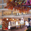 Autumn Foliage di PIK Avenue: Saat Warna-Warni Musim Gugur Hadir di Jakarta