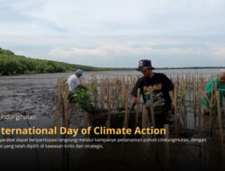 International Day of Climate Action: Saatnya Bumi Butuh Tindakan Nyata, Tanam Pohon Jadi Solusi Konkret