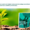 LindungiHutan Luncurkan eBook “Carbon Policy” untuk Dorong Transisi Karbon di Indonesia