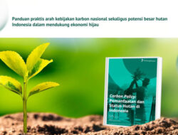 LindungiHutan Luncurkan eBook “Carbon Policy” untuk Dorong Transisi Karbon di Indonesia