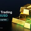 5 Tips Trading XAUUSD Saat Harga Emas Sedang Menguat