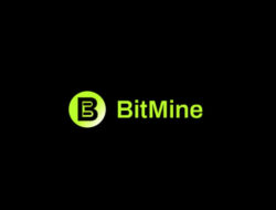 BitMine Umumkan CEO Baru, Siap Kendalikan Treasury Ethereum Jumbo $11 Miliar