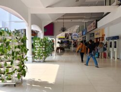 KAI Daop 8 Surabaya Wujudkan Kepedulian Lingkungan melalui Pemeliharaan Ruang Hijau dan Infrastruktur Keselamatan