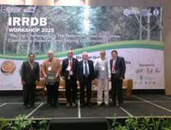 Holding Perkebunan Nusantara Dorong Kolaborasi Riset Global Lewat PT RPN dan IRRDB