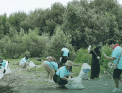 Tidak Hanya Menanam Pohon, LindungiHutan Juga Tawarkan Pemberdayaan Masyarakat Pesisir