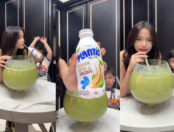 Matcashew Megalodon PLANTIQ Viral! Fuji Puji Rasanya Super Creamy — Ini Rahasia nya!