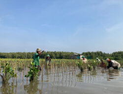 LindungiHutan Ajak Publik Rayakan Hari Menanam Pohon Indonesia dengan Aksi Nyata di Tengah Krisis Iklim