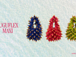 Fuguku Meluncurkan ‘Fuguflex’: Evolusi Terstruktur dari Siluet Ikonik Berduri