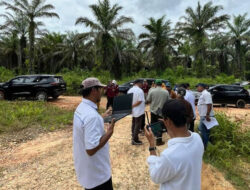 Hilirisasi Pangan Nasional, Holding Perkebunan Nusantara Melalui PalmCo Siapkan Lahan Peternakan Ayam Terintegrasi