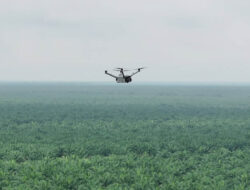 Teknologi Drone Thermal untuk Mencegah Kebakaran di Perkebunan Luas