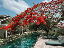 ASAI Village Jimbaran: Oase Wellness di Bali
