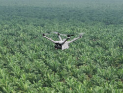 Pemantauan Keamanan Hutan dan Deteksi Kebakaran Lahan dengan DJI Dock 3