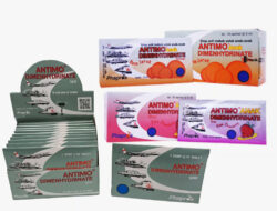 Phapros Hadir Temani Mudik Lebaran: “Sahabat Sehat” di Setiap Perjalanan