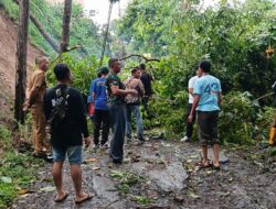 Hujan Deras Disertai Angin Kencang Terjang Parompong, Sejumlah Pohon Tumbang dan Akses Jalan Sempat Terganggu