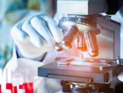 Prodia Hadirkan Advanced Lipid Profile dengan Report Komprehensif, Bantu Masyarakat Pahami Arti di Balik Angka Kolesterol