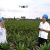 Holding Perkebunan Nusantara Percepat Transformasi Digital, PalmCo Sertifikasi Operator Drone Perkuat Sistem Pemantauan Kebun