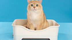 Unicharm Pet Indonesia