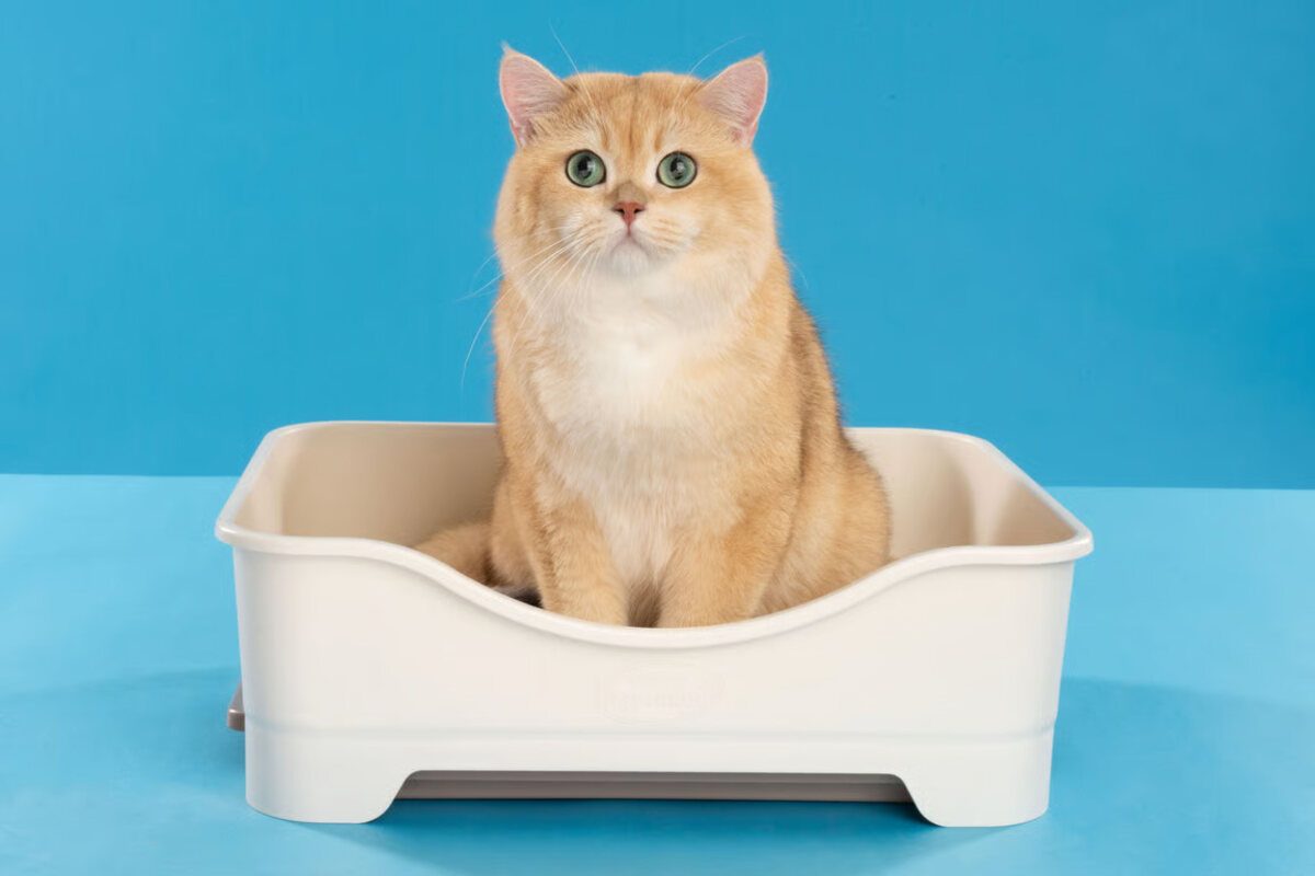 Unicharm Pet Indonesia