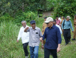 Didorong Kementan, Holding Perkebunan Nusantara Percepat Hilirisasi Gambir Nasional
