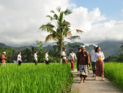 Maharasa Gastronomy Experience Angkat Spiritualitas Pangan dan Tradisi Luhur Bali