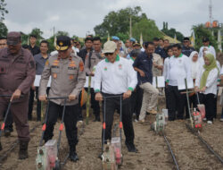 Dukung Ketahanan Pangan, Holding Perkebunan Nusantara Lewat PalmCo Perkuat Kemitraan Petani di Jambi