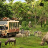Taman Safari Indonesia Siap Dukung Transformasi Kebun Binatang Bandung sebagai Lembaga Konservasi Modern