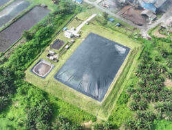Holding Perkebunan Nusantara Perkuat Transisi Energi Bersih melalui Perdagangan Karbon PTPN IV PalmCo