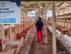 Anggaran Ratusan Juta 2025 Mengendap, BUMDes Girimukti Belum Realisasikan Pengadaan Domba: Alasan Berganti, Publik Menanti Kepastian