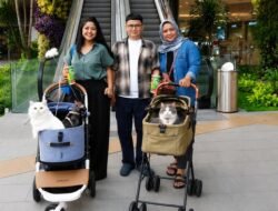 Main Bareng Anabul Di Grand Galaxy Park yang Cat Friendly