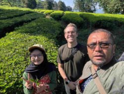 Holding Perkebunan Nusantara Dorong Promosi Global, Kebun Rancabali PTPN I Jadi Sorotan Media Amerika Serikat