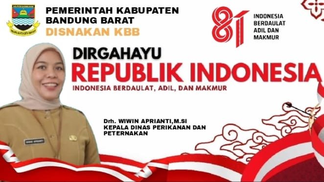 Iklan