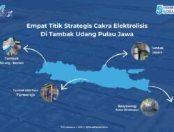 Cakra Elektrolisis, Teknologi Sterilisasi Air Tambak Karya Anak Bangsa, Mulai Dipercaya Tambak Besar di Pulau Jawa