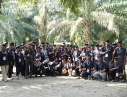 Holding Perkebunan Nusantara Dorong Produktivitas Sawit Rakyat melalui Pembelajaran di Kebun Adolina