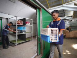 KAI Logistik Layani Lebih dari 138 Ribu Pengiriman Hewan Peliharaan, Tumbuh 19%