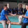 Penuh Keceriaan, Lomba Gebuk Bantal Meriahkan Rangkaian BRILiaN Culture Festival BRI Region 6